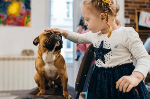 Screenshot 2025-11-20 at 12.52.35 PM